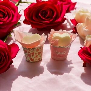 2 Scented Natural Soy Wax Melt Gift